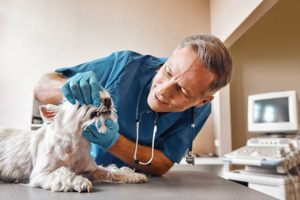 Best Emergency Dental Extractions in Chattanooga, TN
